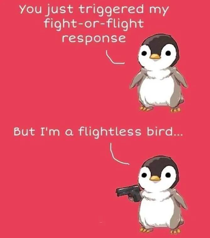 The meme features a cartoon penguin holding a gun and expressing a sarcastic response to someone who is "triggering" or upsetting them. The text above the penguin reads "You just triggered my fight or flight response" and the penguin responds with "In that case, I'm a flightless bird... with a gun". The meme is humorous and ironic, poking fun at the idea that someone is upset and responding with a ridiculous and aggressive statement.